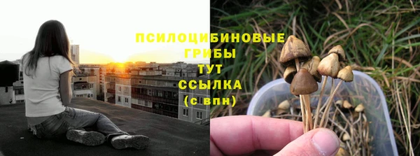 стаф Саяногорск