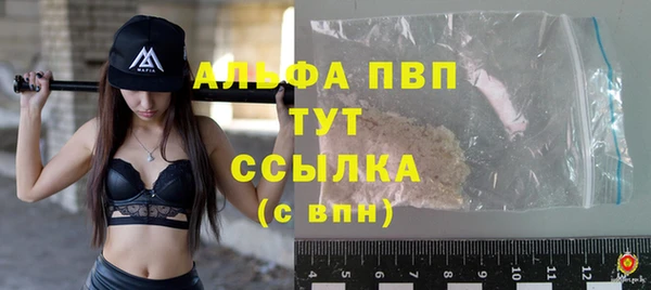 стаф Саяногорск