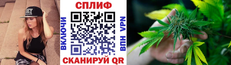 Шишки марихуана White Widow Судогда